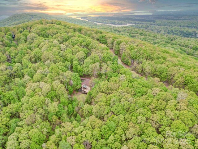 135 Boulder Ridge Dr, Denton, NC 27239 - aerial view at dusk featuring a forest view