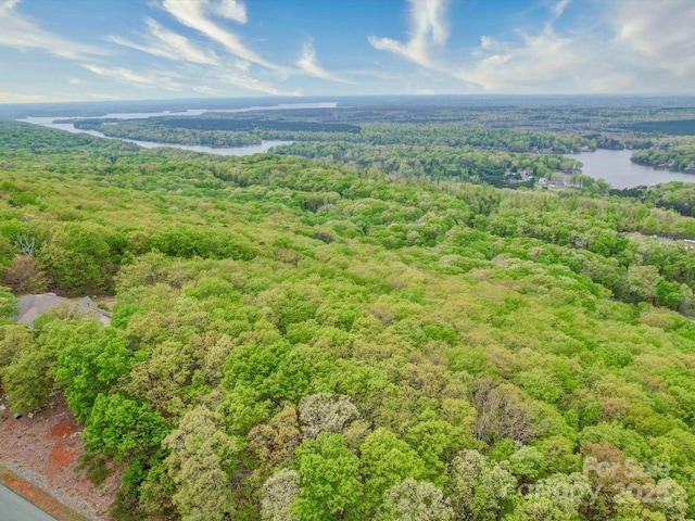 135 Boulder Ridge Dr, Denton, NC 27239 - bird's eye view with a wooded view and a water view
