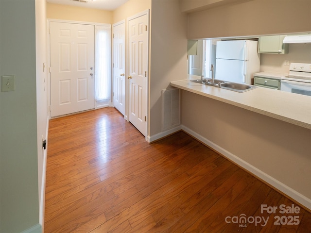 foyer entrance featuring baseboards, visible vents, and wood-type flooring