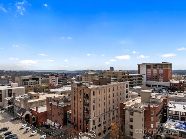 84 Walnut St Unit 203, Asheville, NC 28801 - property's view of city
