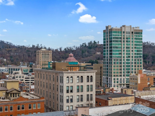 84 Walnut St Unit 203, Asheville, NC 28801 - property's view of city