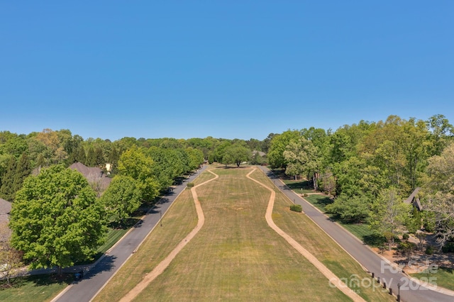 bird's eye view