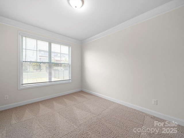 3042 Burnello Ct, Iron Station, NC 28080 - photo 21