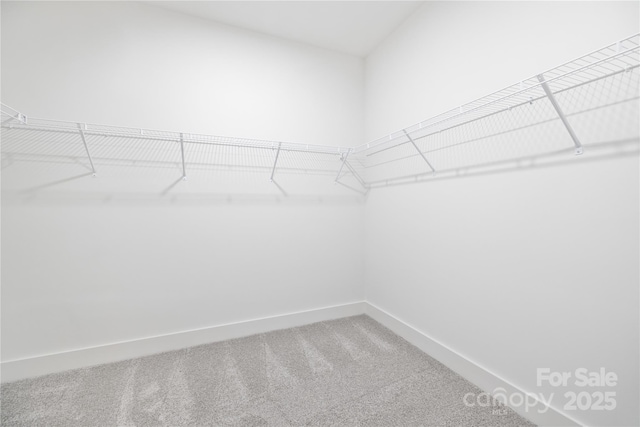 8937 Penstemons Dr, Charlotte, NC 28215 - spacious closet with carpet flooring