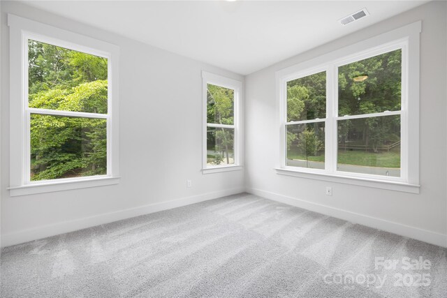 8937 Penstemons Dr, Charlotte, NC 28215 - unfurnished room with carpet flooring