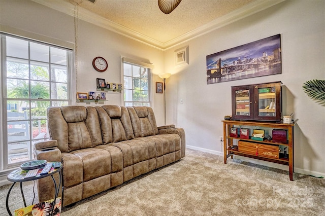 394 Runnymede Dr, Rock Hill, SC 29732 - carpeted living area with a wealth of natural light, baseboards, a textured ceiling, and ornamental molding