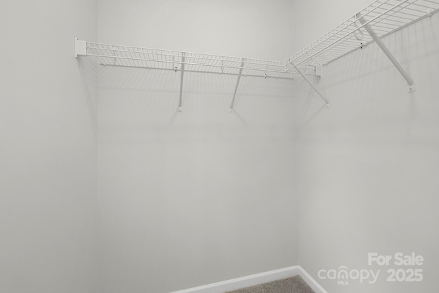 3354 W Sugar Creek Rd, Charlotte, NC 28269 - spacious closet featuring carpet flooring