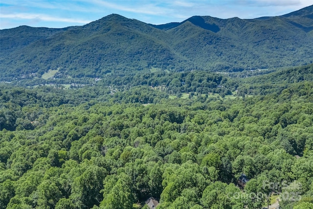 1 Sleepy Hollow Dr, Maggie Valley, NC 28751 - photo 36
