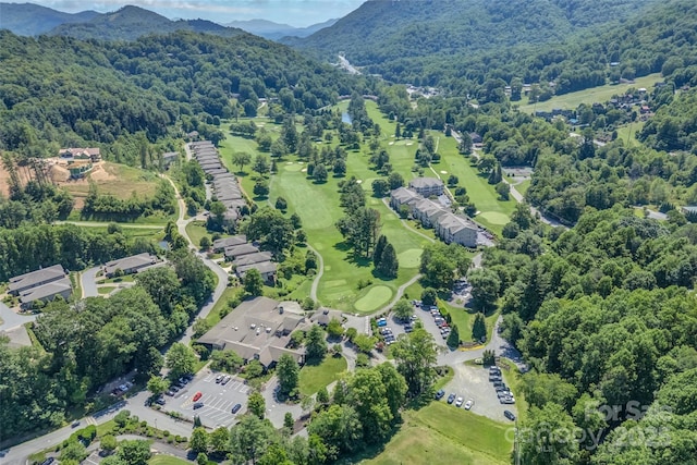 1 Sleepy Hollow Dr, Maggie Valley, NC 28751 - photo 37