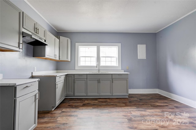 210 Moriah School Rd, Casar, NC 28020 - kitchen with under cabinet range hood, gray cabinetry, a sink, dark wood finished floors, and crown molding