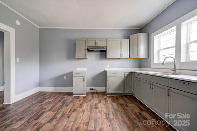210 Moriah School Rd, Casar, NC 28020 - kitchen with under cabinet range hood, gray cabinets, a sink, dark wood finished floors, and crown molding