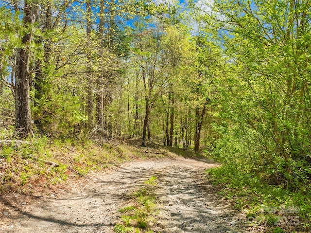 view of street with a forest view