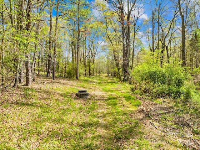 view of local wilderness featuring a forest view