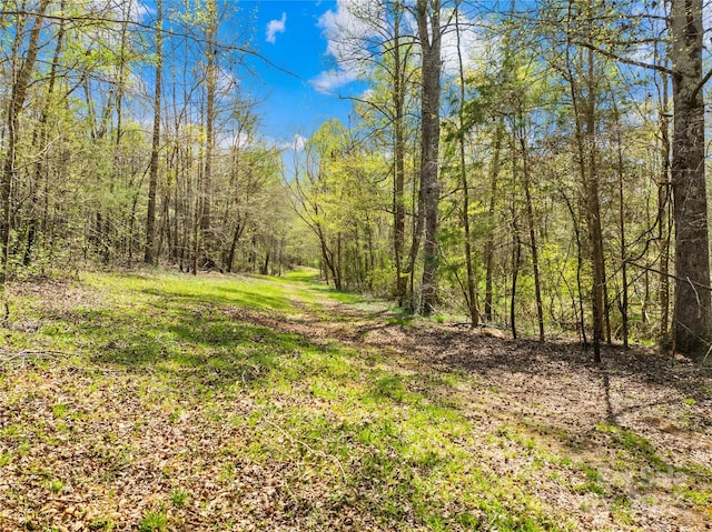view of local wilderness featuring a wooded view