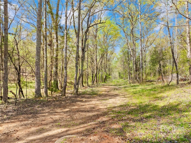 view of local wilderness featuring a view of trees