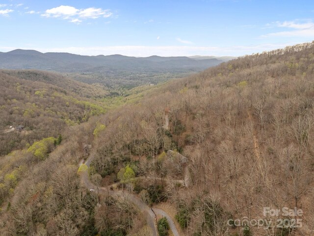 63 Chestnut Forest Rd, Fairview, NC 28730 - view of mountain feature featuring a view of trees
