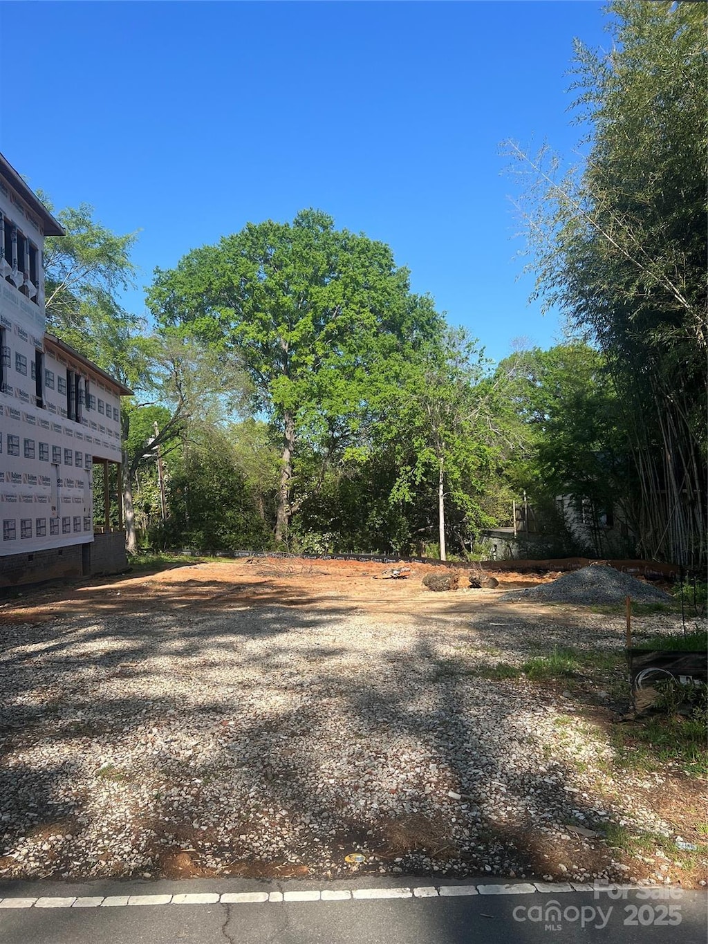 4105 Walker Rd, Charlotte, NC 28211 - view of yard