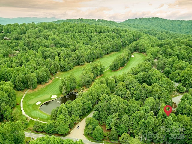 201 W Chimney Xing, Hendersonville, NC 28739 - photo 3