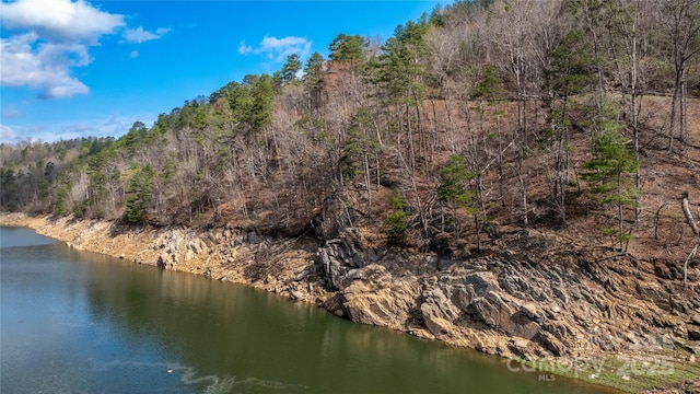 na Fontana Lake Estate, Bryson City, NC 28713 - photo 4
