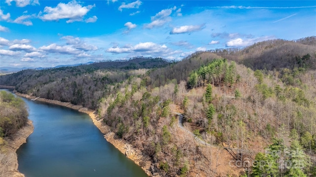 na Fontana Lake Estate, Bryson City, NC 28713 - photo 5