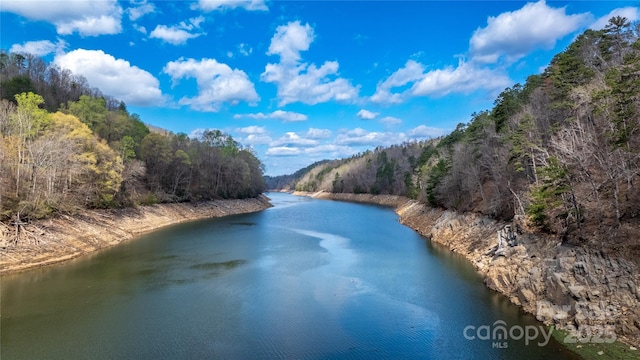 na Fontana Lake Estate, Bryson City, NC 28713 - photo 6
