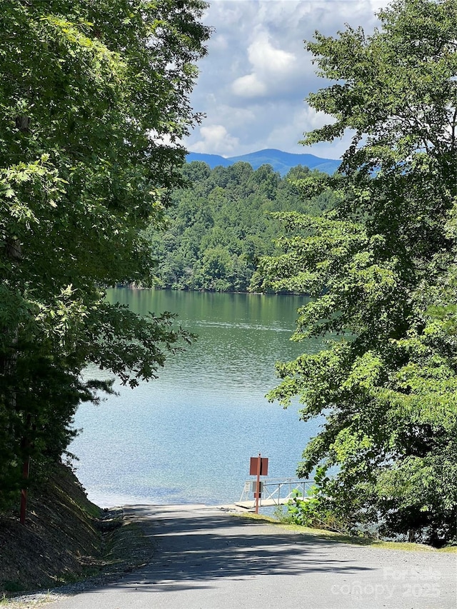 na Fontana Lake Estate, Bryson City, NC 28713 - photo 11