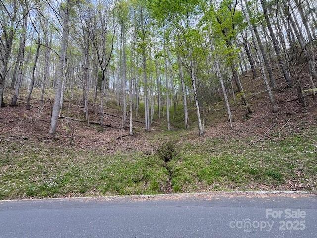 na Fontana Lake Estate, Bryson City, NC 28713 - photo 12
