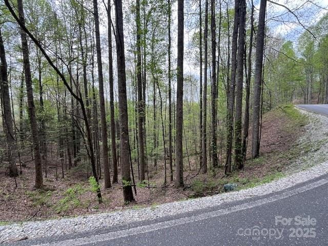 na Fontana Lake Estate, Bryson City, NC 28713 - photo 14