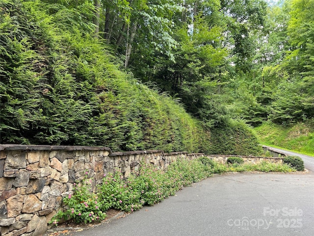 na Fontana Lake Estate, Bryson City, NC 28713 - photo 20
