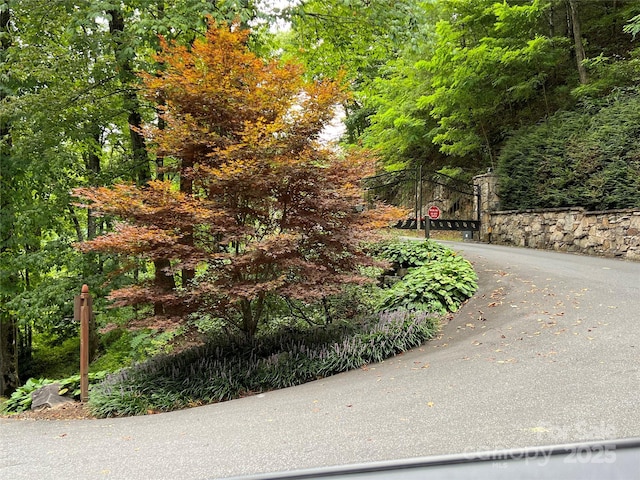 na Fontana Lake Estate, Bryson City, NC 28713 - photo 21