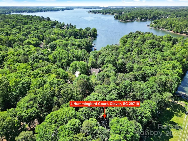 bird's eye view with a water view and a wooded view