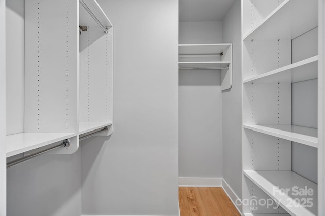 walk in closet with light wood-style floors