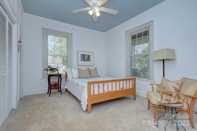 1000 E 35th St, Charlotte, NC 28205 - bedroom with light colored carpet, ornamental molding, and multiple windows