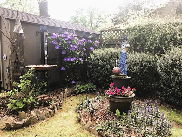 1000 E 35th St, Charlotte, NC 28205 - view of yard