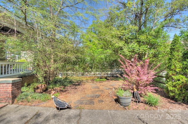 1000 E 35th St, Charlotte, NC 28205 - view of yard