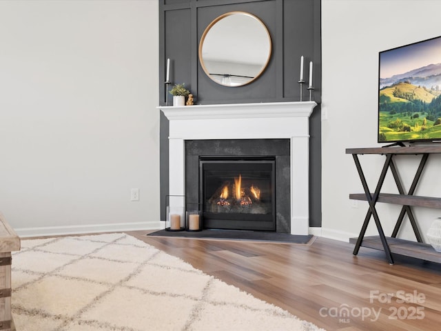 5532 Muckross Ln, Fort Mill, SC 29707 - room details with a fireplace with flush hearth, wood finished floors, and baseboards