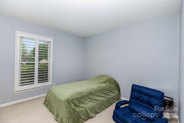 4813 Carving Tree Dr, Mint Hill, NC 28227 - bedroom featuring carpet floors and baseboards