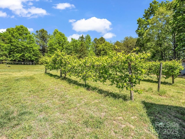 2251 Old Applewood Ln Unit 9, Iron Station, NC 28080 - photo 42