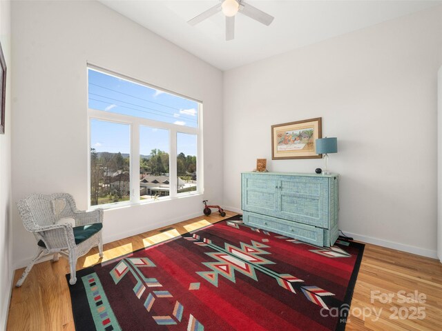 36 Georgia Hill St, Brevard, NC 28712 - photo 24