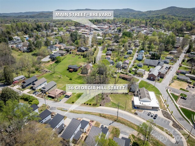 36 Georgia Hill St, Brevard, NC 28712 - photo 45