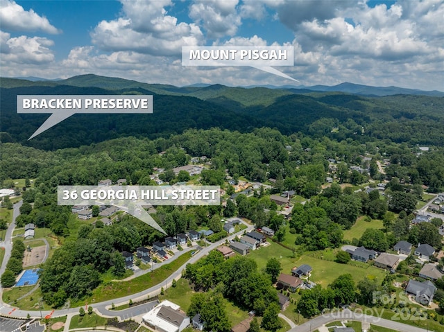 36 Georgia Hill St, Brevard, NC 28712 - photo 46
