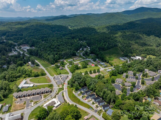 36 Georgia Hill St, Brevard, NC 28712 - photo 47