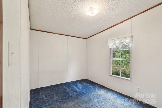 carpeted spare room featuring ornamental molding, lofted ceiling, and a textured ceiling