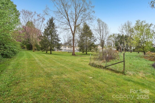 view of yard