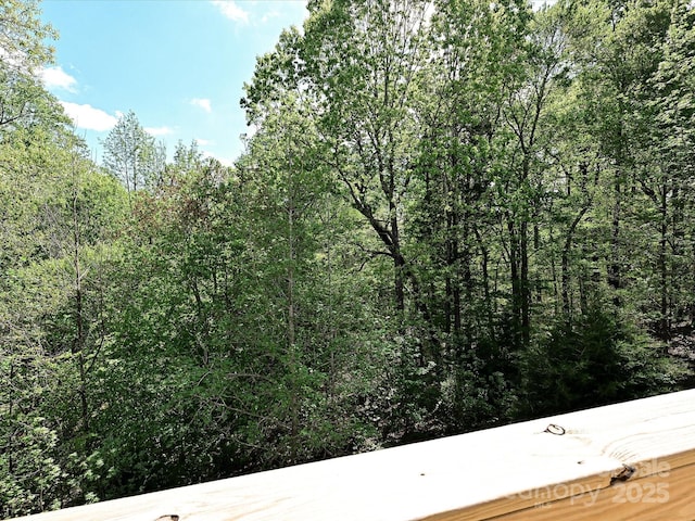 3914 Cassidy Dr, Waxhaw, NC 28173 - view of undeveloped land