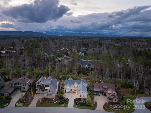 48 Hallett Ct, Asheville, NC 28803 - photo 41