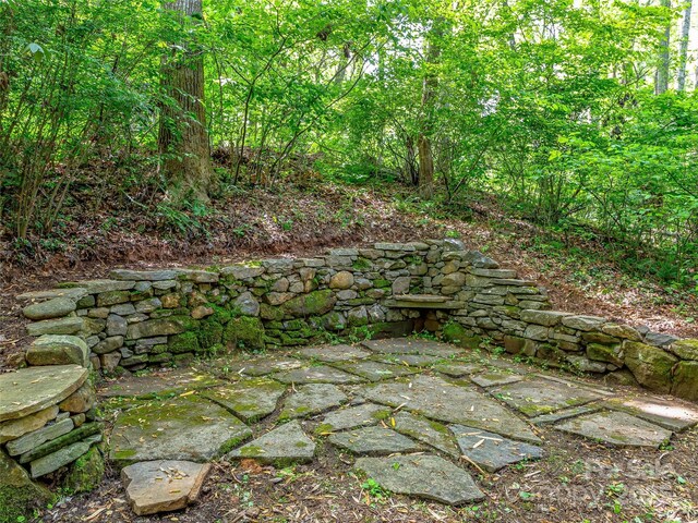 34 Gaia Ln, Asheville, NC 28806 - photo 28