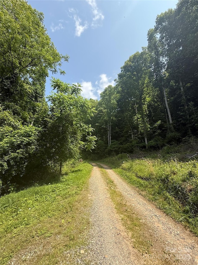 700 Wooded Mountain Trl, Mars Hill, NC 28754