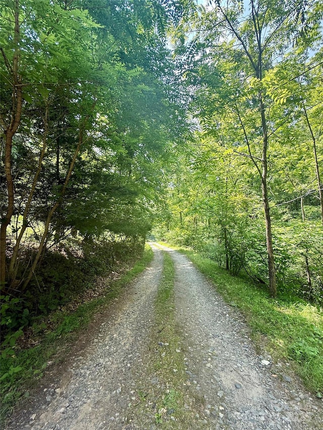 700 Wooded Mountain Trl, Mars Hill, NC 28754