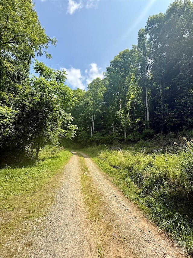700 Wooded Mountain Trl, Mars Hill, NC 28754